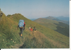 Bieszczady Połonina Wetlińska - 046388