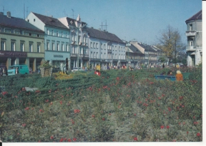 Nowa Sól ul. Armii Czerwonej - 046391