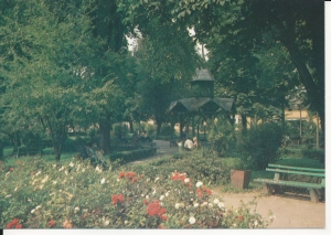 Lubaczów skwer w rynku - 046412