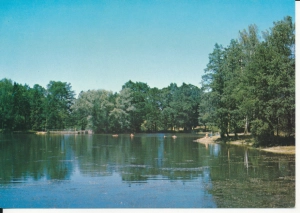 Grotniki rzeka Linda - 046509