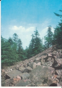 Góry Świętokrzyskie - 046530