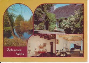 Żelazowa Wola widokowa - 046607