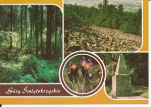 Góry Świętokrzyskie widokowa - 046632
