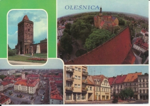 Oleśnica widoki widokowa - 046639