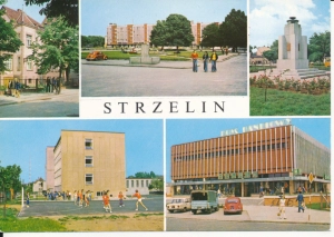 Strzelin widoki widokowa - 046651