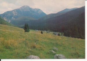 Tatry Dolina Chochołowska - 046698