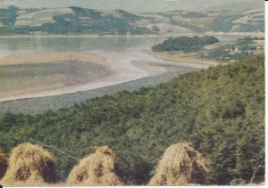 Jezioro Różnoowskie - 047018