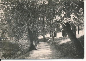 Kartuzy Aleja Filozofów - 047090