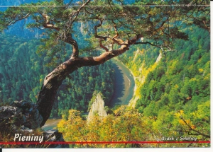 Pieniny widok z Sokolicy - 047114