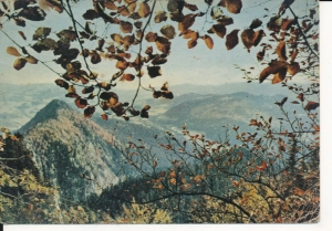 Pieniny panorama - 047142