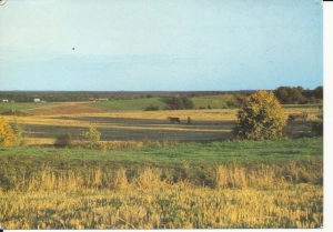 Bory Tucholskie - 047152