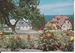Świerardów Zdrój - 047327