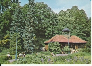 Krynica pijalnia Jan - 047378