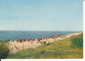 Krynica Morska plaża - 047383