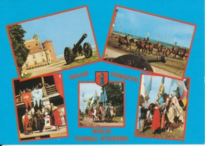 Golub Dobrzyń widokowa - 047471