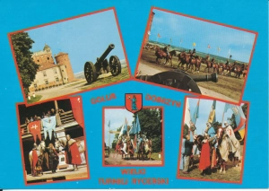 Golub Dobrzyń widokowa - 047472