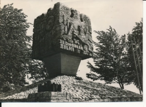 Brodnica Górna pomnik - 047782