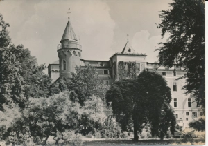 Szczytna Śląska zamek - 047830
