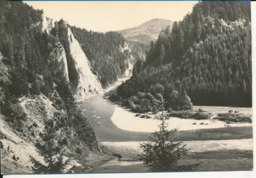 IMG_0035.jpg