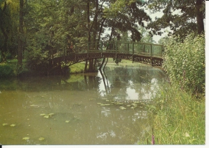 Pszczyna park krajobrazowy - 047909