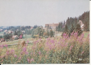 Bukowina Tatrzańska - 047974