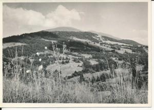 Bieszczady Połonina Caryńska - 048007