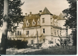 Krzyżanowice pałac - 048041