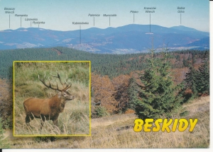 Beskidy widoki widokowa - 048073