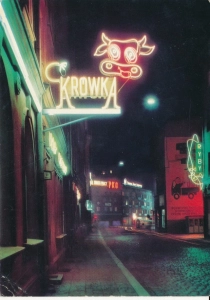 Opole ul. Krakowska neony - 048176