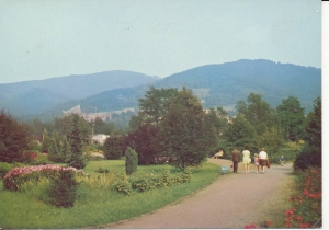Ustroń park - 048184