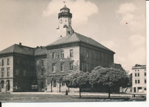 Grodków ratusz - 048215