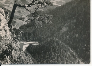Szczawnica widok z Sokolicy - 048331