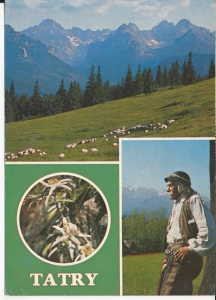 Tatry widoki widokowa - 048414