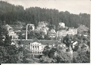 Krynica fragment uzdrowiska - 048473