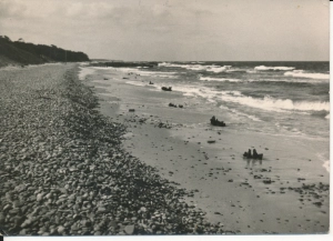 Dźwirzyno brzeg morski - 048583