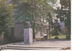 Wadowice pomnik - 048683