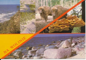 Wolin widoki widokowa - 048687