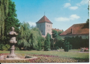 Sulechów park - 048834