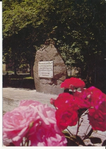 Sulechów pomnik - 048837