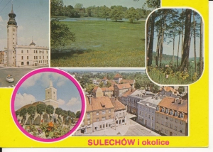 Sulechów widoki widokowa - 048841