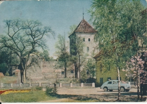 Sulechów mury obronne - 048842