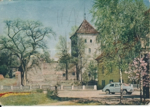 Sulechów mury obronne - 048843