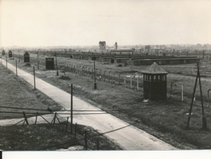 Oświęcim Brzezinka Auschwitz - 048846