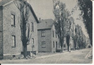 Oświęcim Auschwitz ul Obozowa - 048847