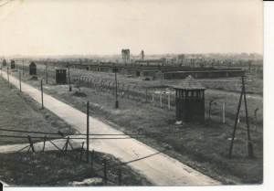 Oświęcim Brzezinka Auschwitz - 048848