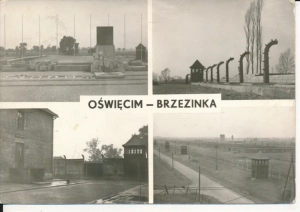 Oświęcim Auschwitz widokowa - 048860
