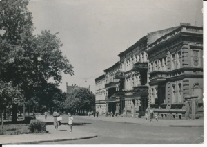 Inowrocław ul. Narutowicza - 048951