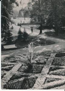 Inowrocław park zdrojowy - 048953