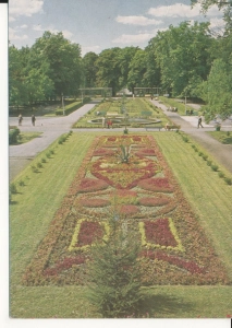 Inowrocław dywan kwiatowy - 048960