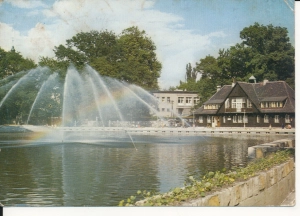 Opole staw zamkowy - 048977